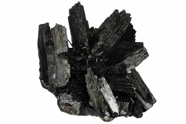 Black Tourmaline (Schorl) Crystal Cluster - Namibia #132184
